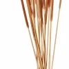 AFRIKA Florero Natural|CASA New