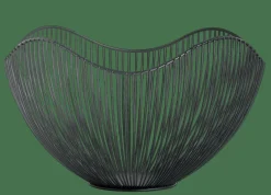 ASTER Frutero Negro|CASA