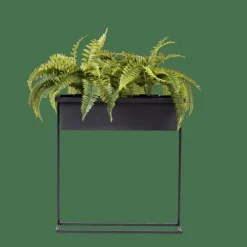 BALCO Caja Para Plantas Negro|CASA Outlet