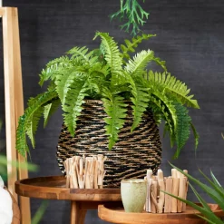 BAZAAR Macetero Natural|CASA Hot