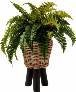 BAZAAR Macetero Natural|CASA