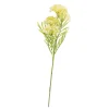 BERRY Rama De Hierba Amarillo|CASA Clearance