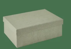 BIGSO Caja De Almacenaje Menta|CASA Outlet