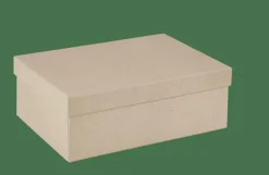 BIGSO Caja De Almacenaje Natural|CASA Hot