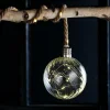 BLOXEM Bola Decorativa Con 20 Leds Transparente|CASA Hot