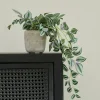 CALATHEA Planta Colgante Gris, Verde, Morado|CASA Best