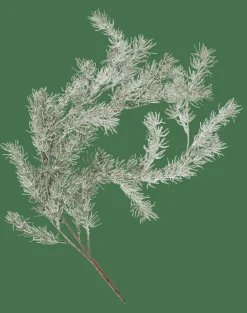 CEDER Rama Decorativa Verde|CASA Discount