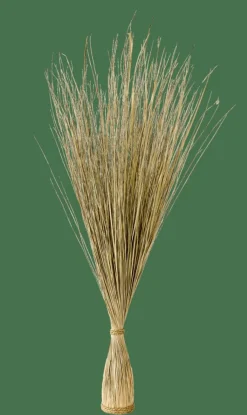COGON Haz De Hierba Natural|CASA New