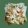 COLIBRI Paquete De 20 Servilletas Multicolor|CASA Outlet