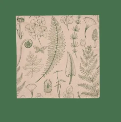 ECO NATURE Paquete De 20 Servilletas Multicolor|CASA Clearance