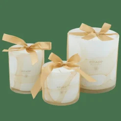 ESCAPE SENSES Vela Perfumada En Vaso Multicolor|CASA New