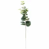 EUCALYPTUS Corona Verde|CASA Outlet
