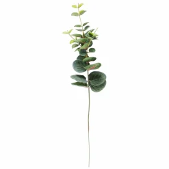 EUCALYPTUS Corona Verde|CASA Outlet
