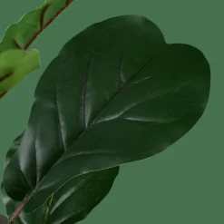 FIGI Negro, Verde Oscuro|CASA Hot