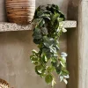 FITTONIA Guirnalda De Hojas Verde|CASA Online