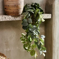 FITTONIA Guirnalda De Hojas Verde|CASA Online