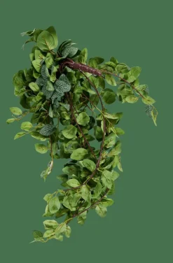 FITTONIA Guirnalda De Hojas Verde|CASA Online