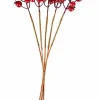 FOAM Calabazas Deco Juego De 12 Rojo|CASA Clearance