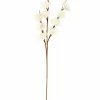 FROST Alerce Blanco|CASA Best