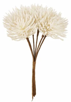 FROST Alerce Verde|CASA Sale