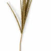 GOLDENROD Tallo Blanco|CASA