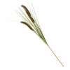 GRASS Haz De Hierba Rojo|CASA Online
