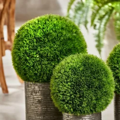 GRASS Haz De Hierba Rojo|CASA Online
