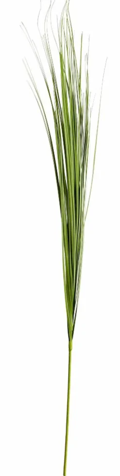 GRASS Haz De Hierba Rojo|CASA Online