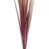 GRASS Haz De Hierba Verde|CASA Outlet