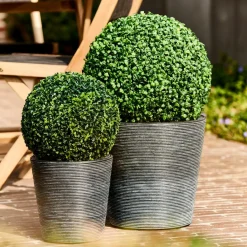 GREEN Bola De Boj Verde|CASA Clearance