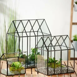 GREENHOUSE Invernadero Transparente|CASA New