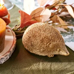 HEDGEHOG Erizo Dorado|CASA Hot