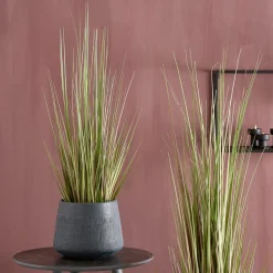HERBA Hierba En Maceta A120cm Verde|CASA Online