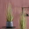 HERBA Hierba En Maceta Verde|CASA Online