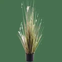 HERBA Hierba En Maceta Verde|CASA Online