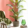 KWAI Palma Verde|CASA Clearance