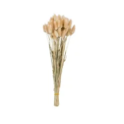 LAGURUS Cola De Liebre Natural|CASA Clearance