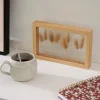 LAGURUS Decoración De Pared Natural|CASA Best