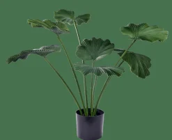 LOTUS Planta Verde|CASA Discount