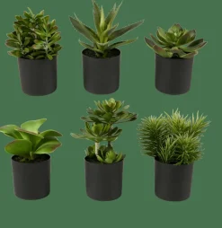 MOHAVE Varios Colores|CASA Discount