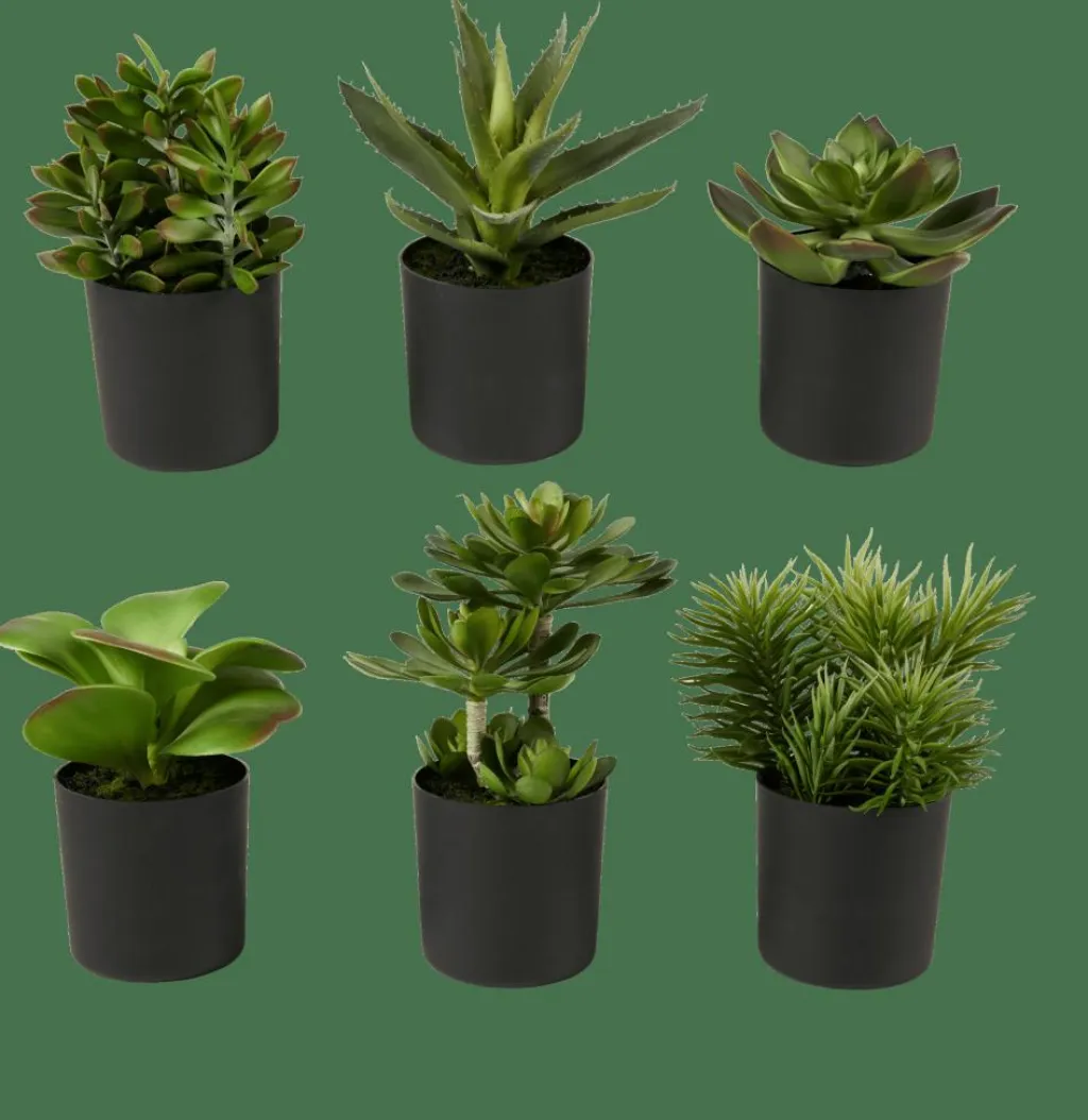 MOHAVE Varios Colores|CASA Discount