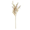 MOTHERWORT Rama De Hierba Dorado|CASA New