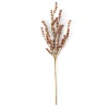 MOTHERWORT Rama De Hierba Rosa|CASA Discount