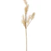 PAMPA Hierba De Las Pampas Blanco|CASA Discount