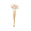 PAMPLONA Florero Crema|CASA New