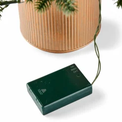 PIM Guirnalda 25 Leds Verde|CASA