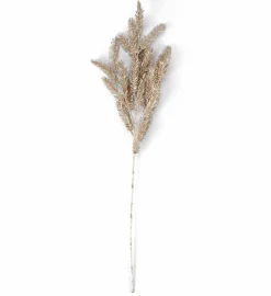 PINE Seta|CASA Best