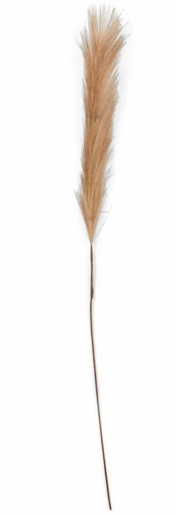 PLUME Plumas Decorativas Marrón Claro|CASA Sale
