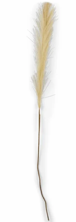 PLUME Plumas Decorativas Marrón Claro|CASA Sale