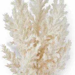 PLUME Plumas Decorativas Marrón Claro|CASA Sale